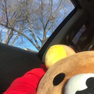 Meet your Posher, Kim